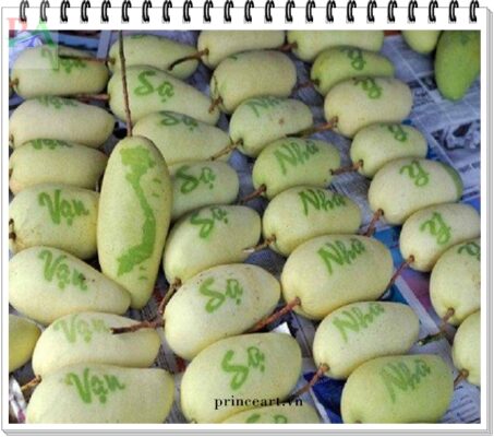 khắc xoài ở VN